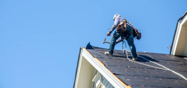 Roof Installation Near Me in Pender, NE